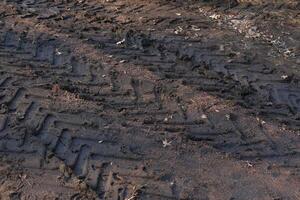 Tire tracks of car or truck on muddy field or dirt road after rain. Driving in bad conditions. Vehicle in different weather photo