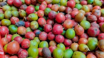 Close-up of colourful fresh syzygium cumini fruits offering a vibrant display of colors and textures photo
