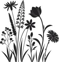 Elegant Flower Outline Graphic Set vector