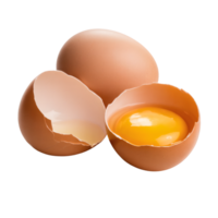 Fresh Broken Egg Showing Yolk on Transparent Background png