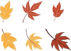 September Autumn Leaf Design for Greeting and Print Use vector