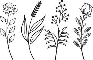 Elegant Botanical Line Drawing Icons vector