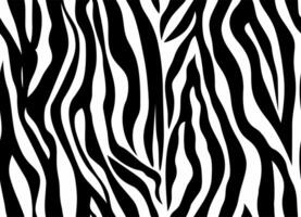 A zebra print fabric pattern vector