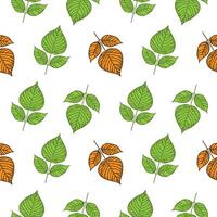 Seamless Hand Drawn Leaf Pattern Green and Autumn Leaves on White Background . vector