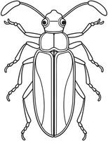 Longhorn beetle bug anatomy line art for kids learning activities vector