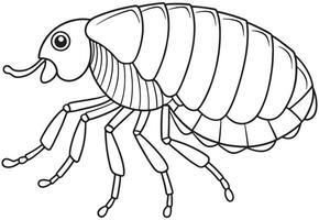Flea anatomy drawing for bug identification and learning coloring sheets vector