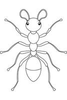 Ant line drawing for kids coloring book and nature learning vector