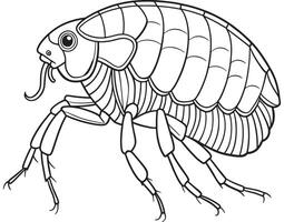 Flea insect line art for children science and coloring page activities vector