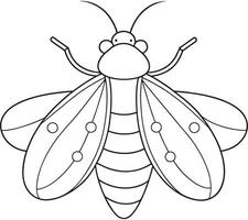 Firefly cartoon line art for kids bug learning and coloring pages vector
