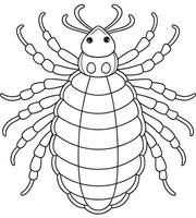 Lice parasite drawing for science learning and printable coloring pages vector