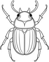 Hercules beetle drawing for kids bug coloring and insect learning pages vector