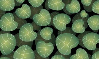 Pattern of Green Round Leaves with Tropical Background Design vector
