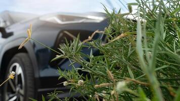 Blurred front view of a dark car parked on a grass field. Green grass with flowers arranged in front. Under a bright white sky. photo