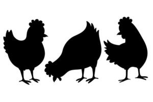 Chicken black silhouettes isolated white background vector