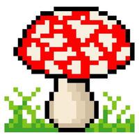 Amanita mushroom pixel art isolated on white background vector