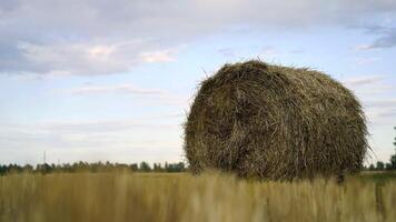 Aerial - A haystack in the field. Harvesting, agriculture, straw. photo