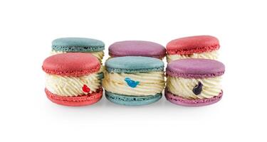 Colorful macaron cakes. Small french muffins. Colorful macarons on a white background with clipping path photo