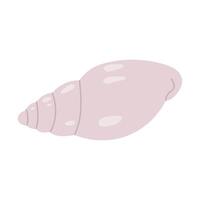 Sea shell. Hand drawn underwater elements. Illustration for summer, ocean design, beach decor, kids projects vector