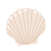 Sea shell scallop. Hand drawn underwater elements. Illustration for summer, ocean design, beach decor, kids projects. vector