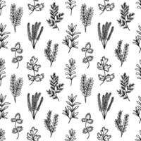 Cooking herbs and spices hand drawn seamless pattern on white background vector