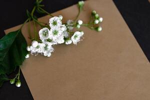 delicate white flowers and decorative clothespins in a serene setting photo