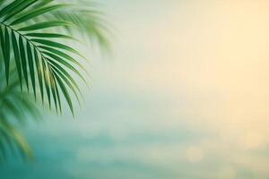 Lush green palm leaves framing a serene beach landscape during sunset in a tranquil coastal environment photo