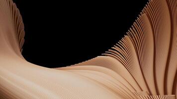 3D animation of smooth lines forming an intricate pattern that fills the frame. video