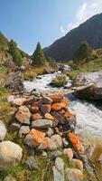 Scenic mountain river rushes through a rocky gorge in Kyrgyzstan. Clear water flows under a simple wooden log bridge, passing over stones covered with orange lichen. Evergreen trees line the steep slopes under a blue sky. video