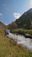 A static shot of a clear mountain river rushing through a rocky valley in Kyrgyzstan, surrounded by green grass, autumnal trees, and forested hills under a bright blue sky with lens flare from the sun. video
