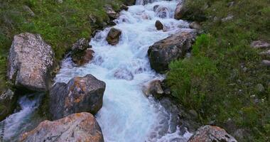 Low drone shot of a clear stream flowing through a lush valley, flanked by dense trees and rocky slopes, with distant mountains under a cloudy sky. Real-time panning up and moving forward capture. video
