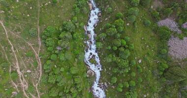 Aerial real-time footage of a river flowing through a lush green forest, captured by a drone slowly descending. Rocky banks and winding paths surround the vibrant landscape. video