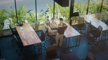 Three business managers in coworking space discussing strategy and projects during productive meeting in modern office with windows and view of vibrant greenery. Coworking place for your success video