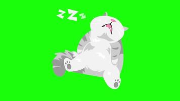 2d cartoon animation of adorable snoring silver cat sleeping in weird sitting position, mouth open. Green screen. video