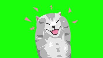 2D animation of a frustrated kitten holding its head, eyes closed, and screaming. Cartoon style with green screen. video