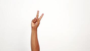 Counting hands showing numbers from zero to five with arm raised on white background video