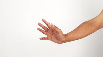 Diverse hand poses against a seamless white background, capturing various expressions video