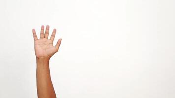 Diverse hand gesture with palm up on a white background, representing choices and interactions video