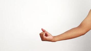 Diverse hand gestures against a clean white background showcasing different positions video