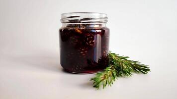 Pine cone jam with a pine branch. video
