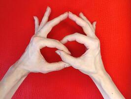 Hands forming heart shape over vibrant red background showcasing creativity and expression photo
