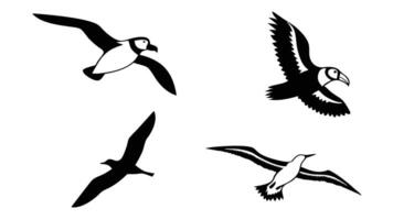 A collection of illustrations depicting various bird silhouettes in flight against a clean white background vector