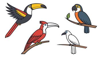 A collection of colorful cartoon birds including toucan, parrot, and hornbill illustration for design and decoration vector