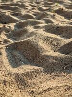 High resolution image of fine beach sand with subtle natural grain texture captured under sunlight perfect for background use in design or organic product presentation Textured Sand Close-Up with Gent photo