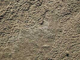 Textured Surface of Rough Concrete or Stone natural sand cliff texture with rough surface patterns and organic earthy tones perfect for eco backgrounds and design overlays photo