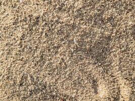 Close-Up of Fine Golden Sand High resolution image of fine beach sand with subtle natural grain texture captured under sunlight perfect for background use in design or organic product presentation photo