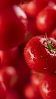 Animation of a group of tomato. Many tomatoes slowly rotate in the background in space. Vertical composition. Defocus. Close-up video
