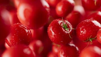 Animation of a group of tomato. Many tomatoes slowly rotate in the background in space. Horizontal composition. Defocus. Close-up video