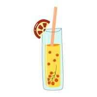 Glass of lemonade with small red berries and slice of grapefruit. vector