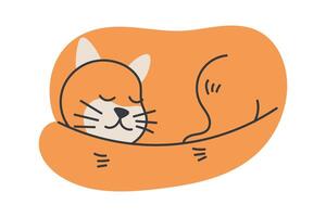isolated flat illustration of a curled up sleeping ginger cat. Perfect for pet-themed designs, relaxation concepts, children projects, or cozy lifestyle visuals. vector