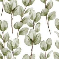 Seamless botanical Pattern with watercolor Eucalyptus Leaves and branches. Illustration of Background with greenery for baby textile design, nursery wallpaper and eco wrapping paper. Green backdrop vector